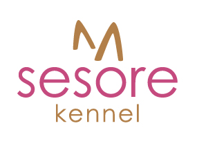 logo sesore