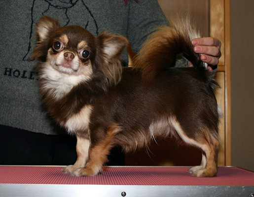 Reino