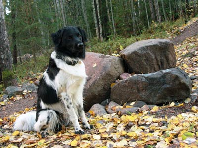 Doti syksyllä