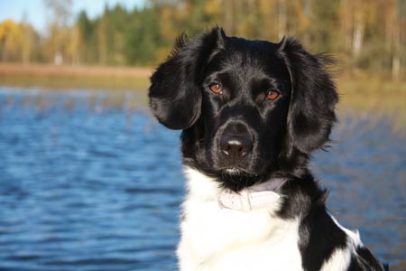 Jilske veneessä